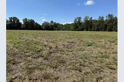 15828 Ace Basin (Lot#2) Parkway, Round O, SC 29474 - Photo 3