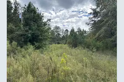938 Mars Old, Cottageville, SC 29435 - Photo 5