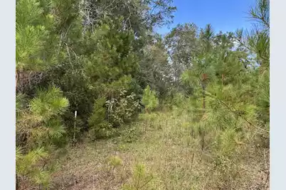938 Mars Old, Cottageville, SC 29435 - Photo 17