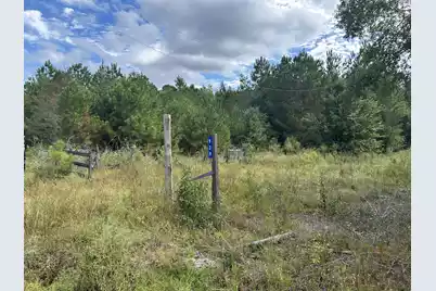 938 Mars Old, Cottageville, SC 29435 - Photo 3