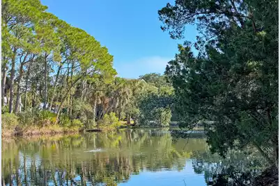 241 Little Oak Drive, Folly Beach, SC 29439 - Photo 53