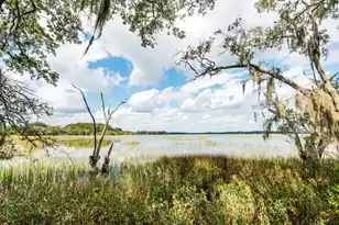 1310 Martins Point Rd, Wadmalaw Island, SC 29487 - Photo 73