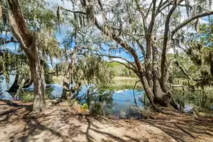 1310 Martins Point Rd, Wadmalaw Island, SC 29487 - Photo 63