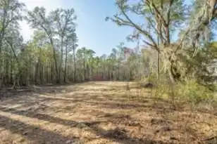 808 Society Rd, McClellanville, SC 29458 - Photo 57