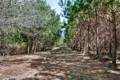 3142 Mary Hay Boulevard, Johns Island, SC 29455 - Photo 17