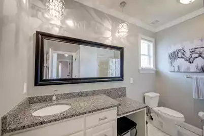 1317 Wood Sorrel Drive, Moncks Corner, SC 29461 - Photo 29