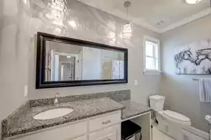 1317 Wood Sorrel Dr, Moncks Corner, SC 29461 - Photo 29