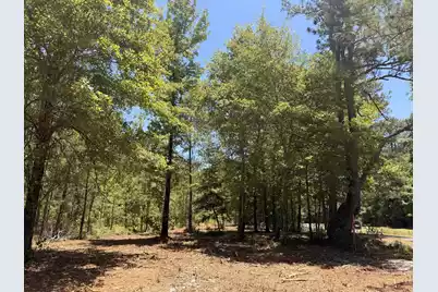 000 Tumbleweed Road, Smoaks, SC 29481 - Photo 5