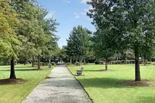 406 Parish Farms Dr, Summerville, SC 29486 - Photo 59