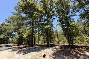 00000 Tumbleweed Rd, Smoaks, SC 29481 - Photo 1