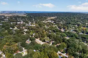 1026 Pauline Ave, Charleston, SC 29412 - Photo 53