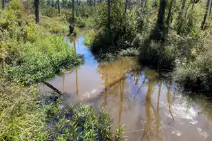 00 Todd Creek Rd and Wisp Rd, Neeses, SC 29107 - Photo 1