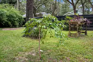 417 Black St, Walterboro, SC 29488 - Photo 65