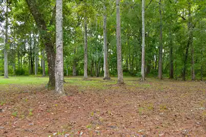 6441 Highway 162, Hollywood, SC 29449 - Photo 1