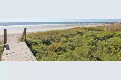 29 Twin Oaks Lane, Isle Of Palms, SC 29451 - Photo 31