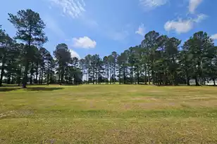 423 Pinelake Ct, Manning, SC 29102 - Photo 1