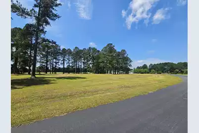 423 Pinelake Court, Manning, SC 29102 - Photo 3
