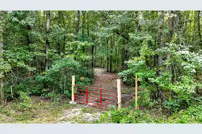 0000 Hamilton Road, Manning, SC 29102 - Photo 7