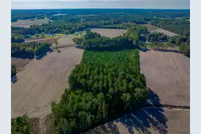 3299 Newman Branch Road, New Zion, SC 29111 - Photo 79