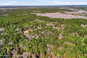 000 Gertie Ln, Cordesville, SC 29434 - Photo 1