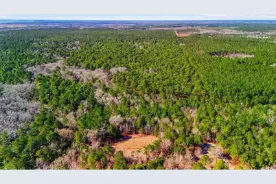 0000 Gertie Lane, Cordesville, SC 29434 - Photo 5