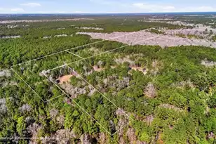 0000 Gertie Ln, Cordesville, SC 29434 - Photo 1
