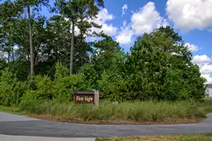 105 Integrity Ln, Charleston, SC 29492 - Photo 67