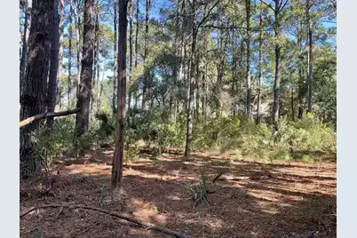 8366 Palmetto Road, Edisto Island, SC 29438 - Photo 1