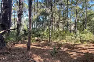 8366 Palmetto Rd, Edisto Island, SC 29438 - Photo 1