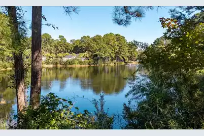 3305 Heathland Way, Mount Pleasant, SC 29466 - Photo 21