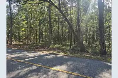 2442 Peirce Road, Cottageville, SC 29435 - Photo 3