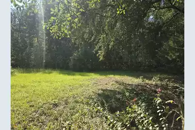 2442 Peirce Road, Cottageville, SC 29435 - Photo 13