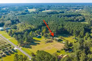 272 Old Bell Rd, Saint George, SC 29477 - Photo 55