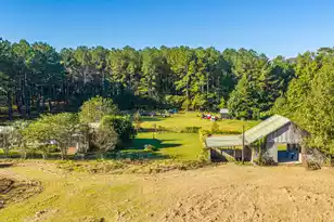 272 Old Bell Rd, Saint George, SC 29477 - Photo 87