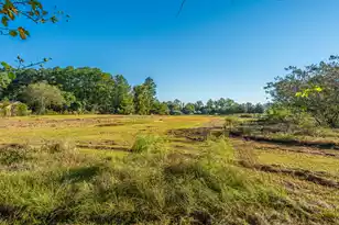 272 Old Bell Rd, Saint George, SC 29477 - Photo 27