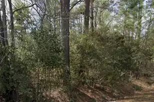 00 Ginn Altman Ave, Hampton, SC 29924 - Photo 1