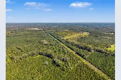 9750 Cottageville Highway, Cottageville, SC 29435 - Photo 53
