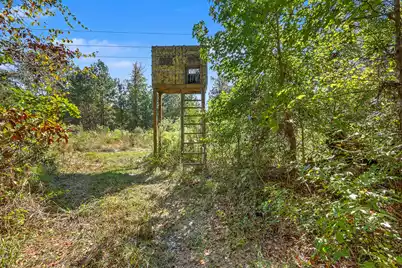9750 Cottageville Highway, Cottageville, SC 29435 - Photo 23