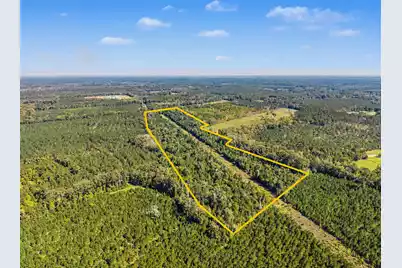9750 Cottageville Highway, Cottageville, SC 29435 - Photo 37