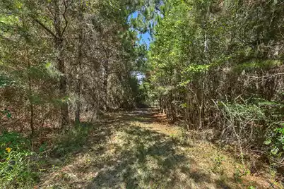 9750 Cottageville Highway, Cottageville, SC 29435 - Photo 11