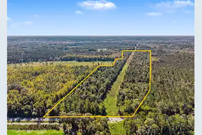 9750 Cottageville Highway, Cottageville, SC 29435 - Photo 3
