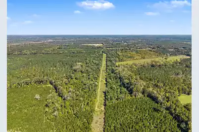 9750 Cottageville Highway, Cottageville, SC 29435 - Photo 41