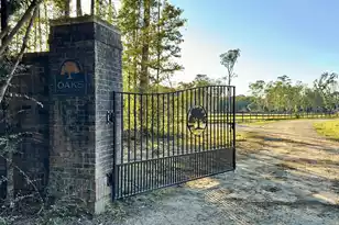 0 Morrison Canal Dr, McClellanville, SC 29458 - Photo 1