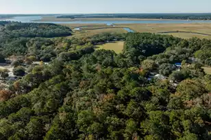 295 Rebel Kat Ct, Charleston, SC 29412 - Photo 19