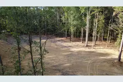 0 Gum Branch & Sweetgum Road, Saint George, SC 29477 - Photo 7