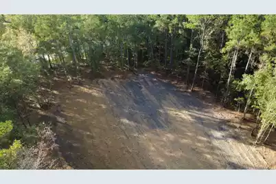 0 Gum Branch & Sweetgum Road, Saint George, SC 29477 - Photo 3