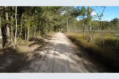 0 Gum Branch & Sweetgum Road, Saint George, SC 29477 - Photo 11
