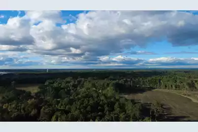0 Gum Branch & Sweetgum Road, Saint George, SC 29477 - Photo 27