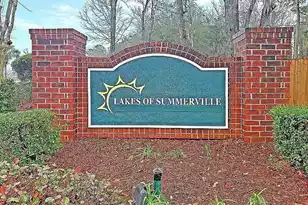 153 Tyger St, Summerville, SC 29485 - Photo 19