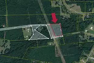 0 Cottonwood Ln, Walterboro, SC 29488 - Photo 1